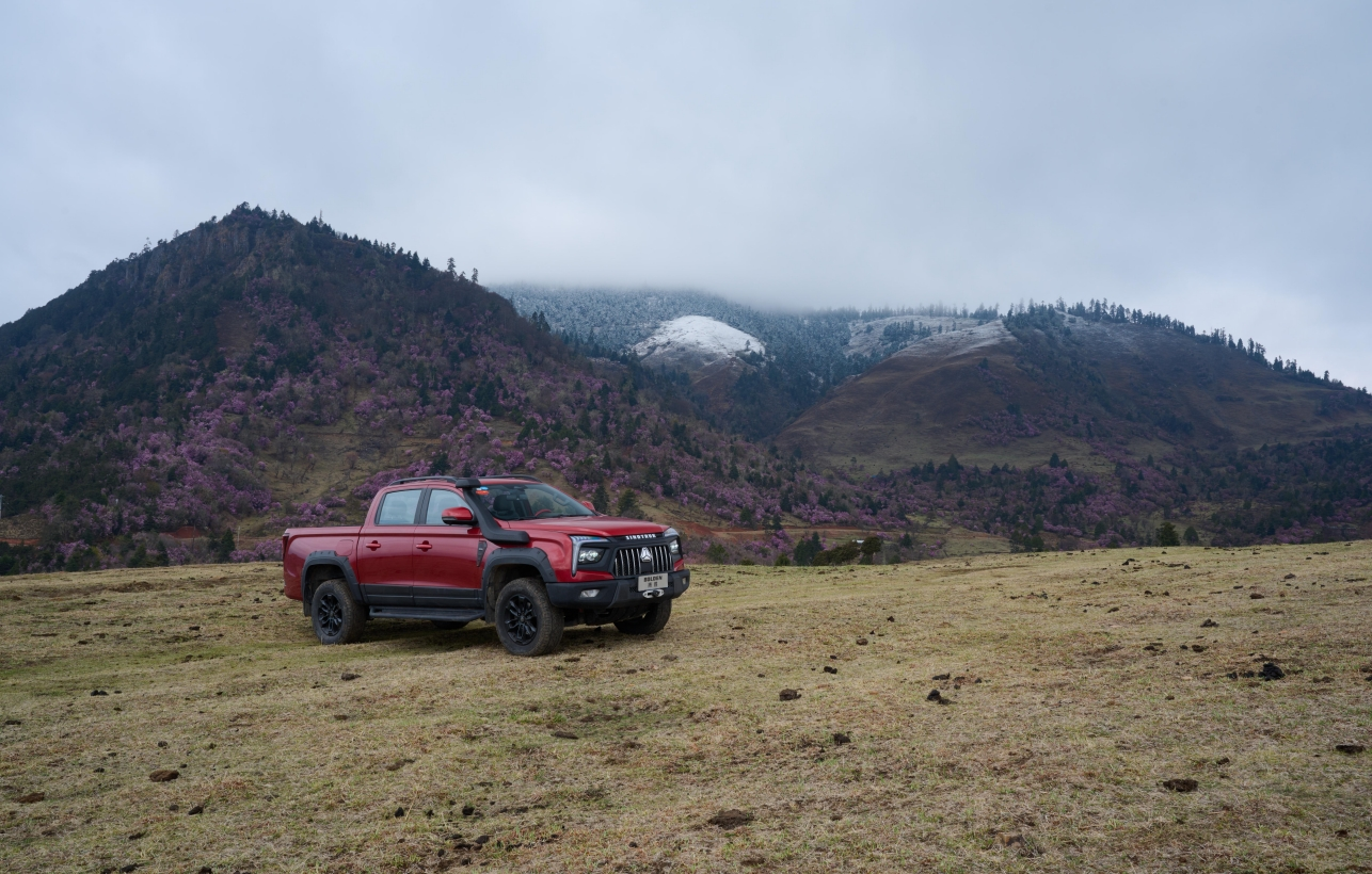 lv���ʹ���