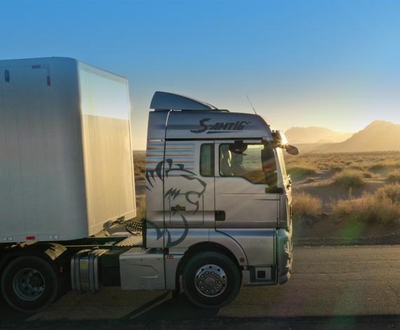 ���ֳ�����