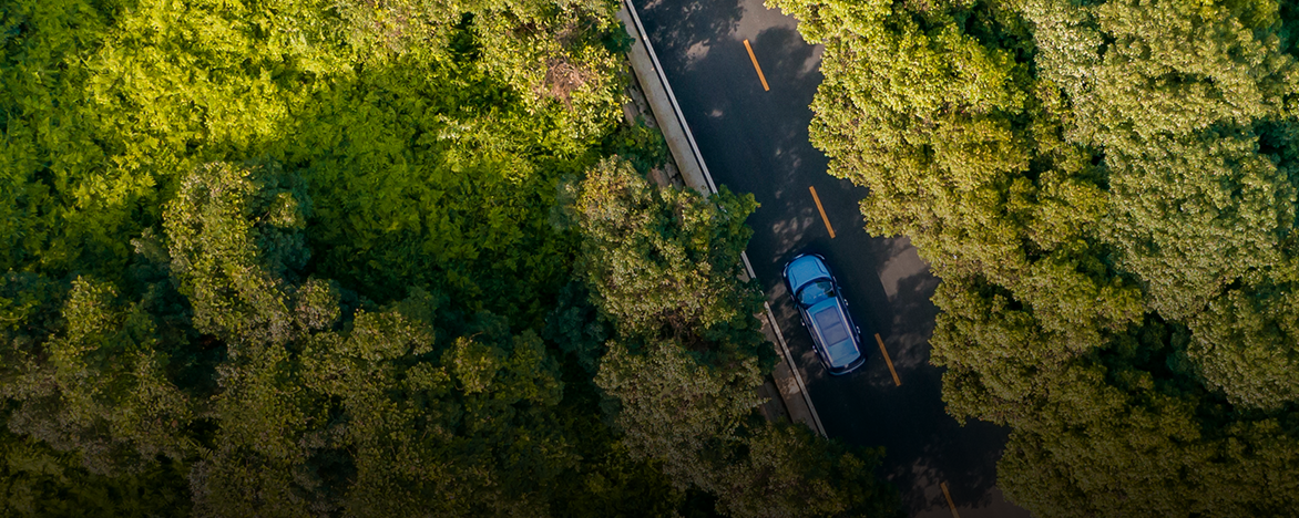 lv���ʹ���