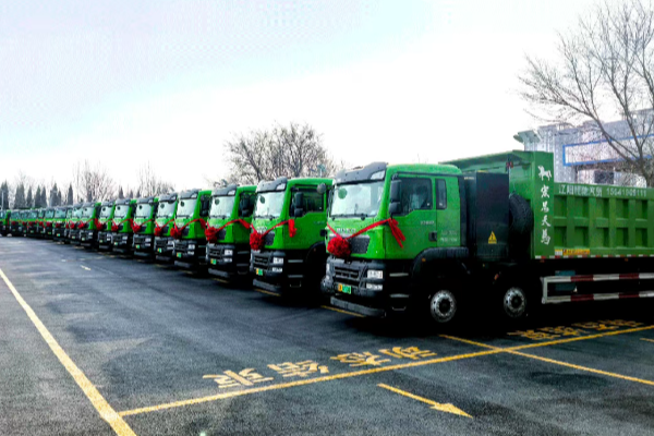 lv����(�й���)-�ٷ���վ����Դ�ؿ��ϱ������뽻����������������������ɫ��������̬��