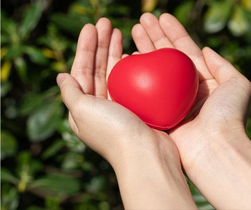 lv���ʹ���